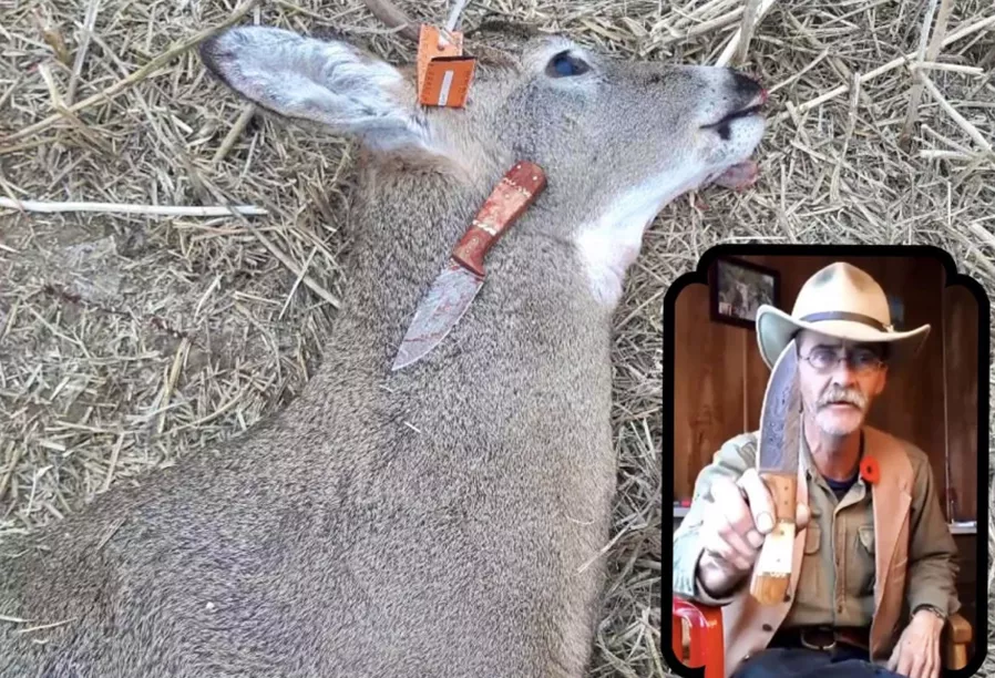 What is the best knife to skin a deer