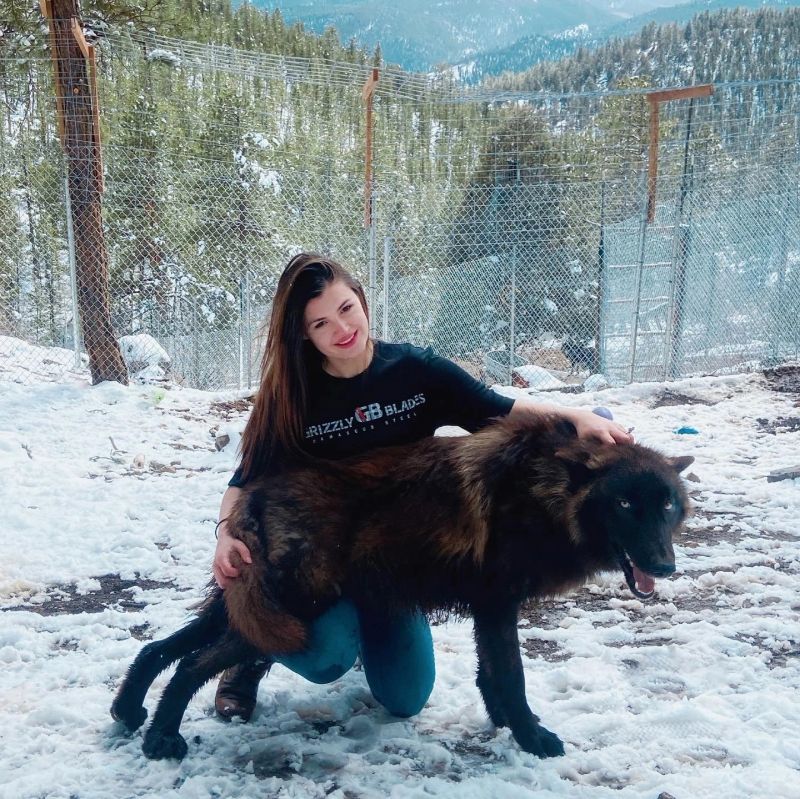 Aspen Valley Wolves