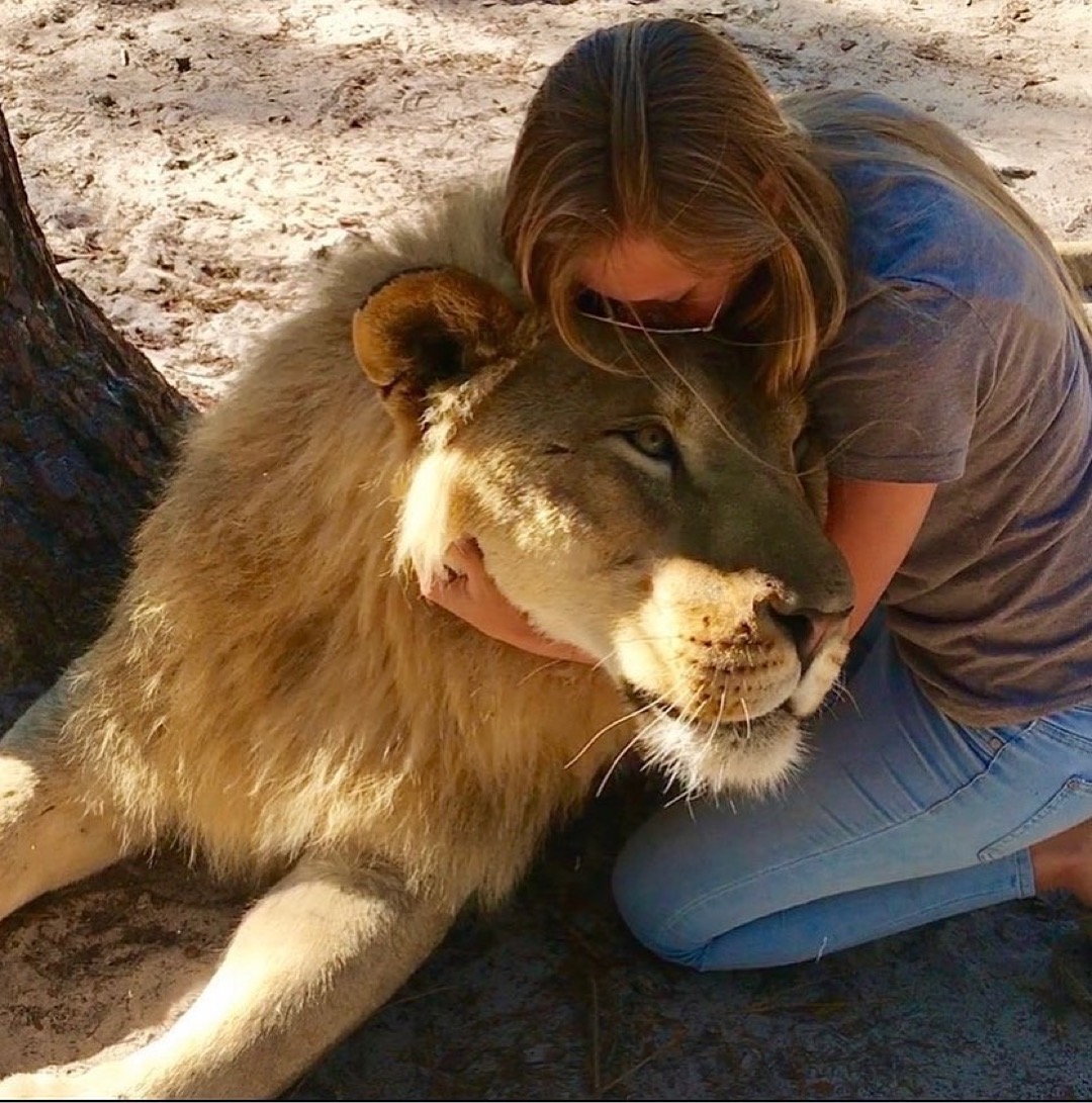 Safari Sammie